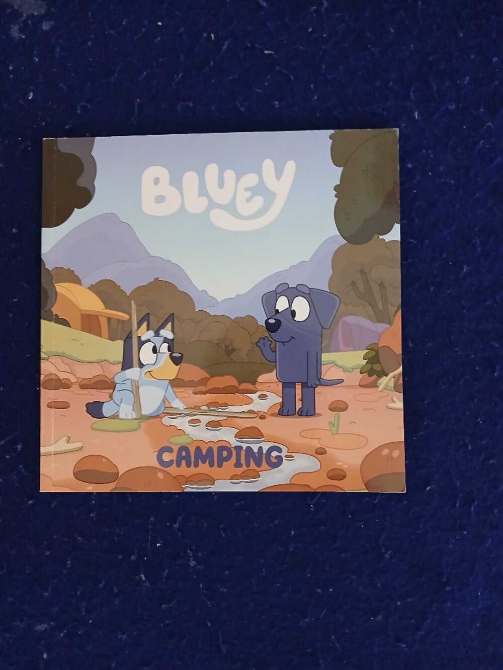 Bluey Camping used paperback